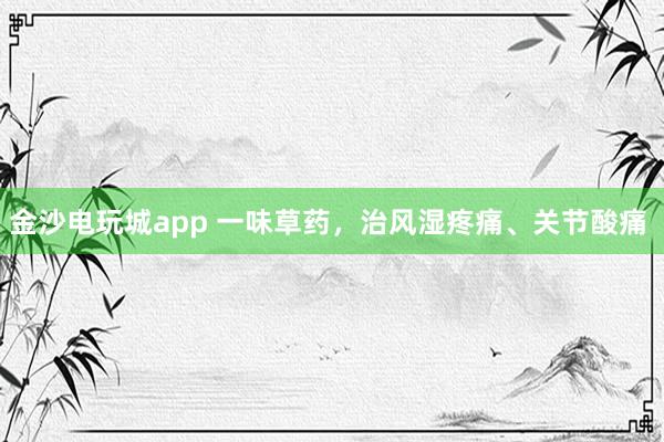 金沙電玩城app 一味草藥，治風(fēng)濕疼痛、關(guān)節(jié)酸痛  