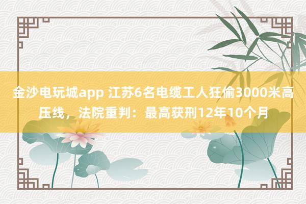 金沙電玩城app 江蘇6名電纜工人狂偷3000米高壓線，法院重判：最高獲刑12年10個月