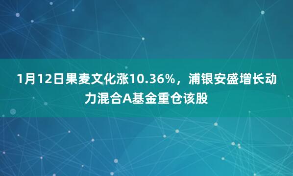 1月12日果麥文化漲10.36%,浦銀安盛增長動力混合A基金重倉該股