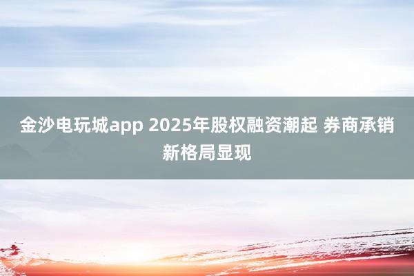 金沙電玩城app 2025年股權融資潮起 券商承銷新格局顯現