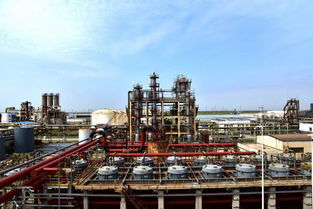 國(guó)內(nèi)單套生產(chǎn)能力最大電解槽在聚隆化工試車成功