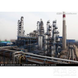 上海化工產(chǎn)業(yè) 轉(zhuǎn)型升級(jí)與可持續(xù)發(fā)展