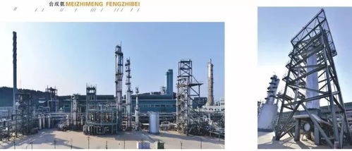 四川美豐創(chuàng)新工藝通過科技成果鑒定，化工行業(yè)再添新突破